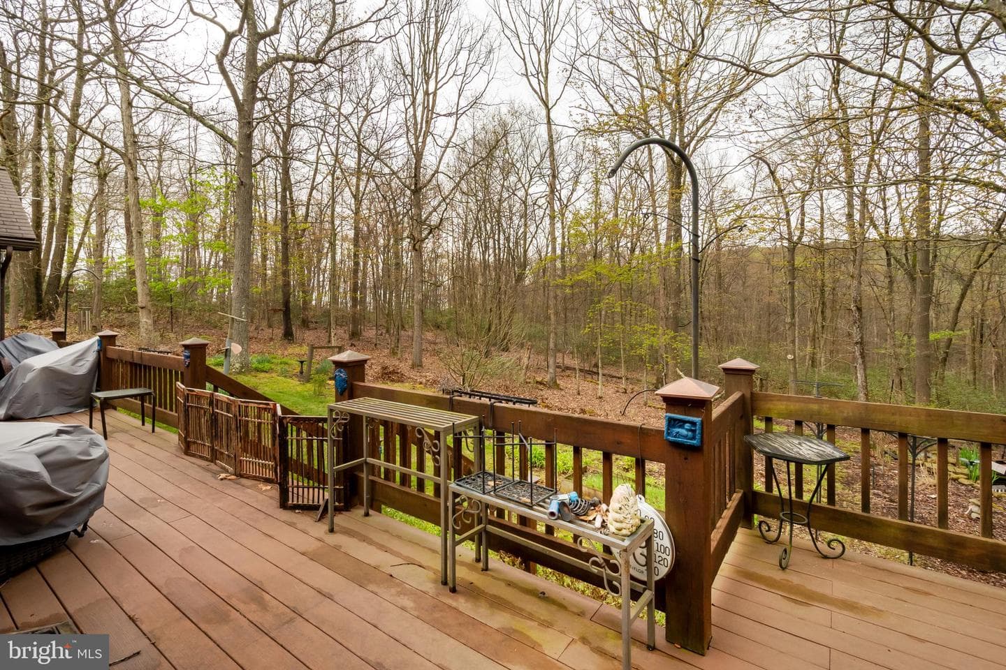 398 Snowbird Lane photo 66