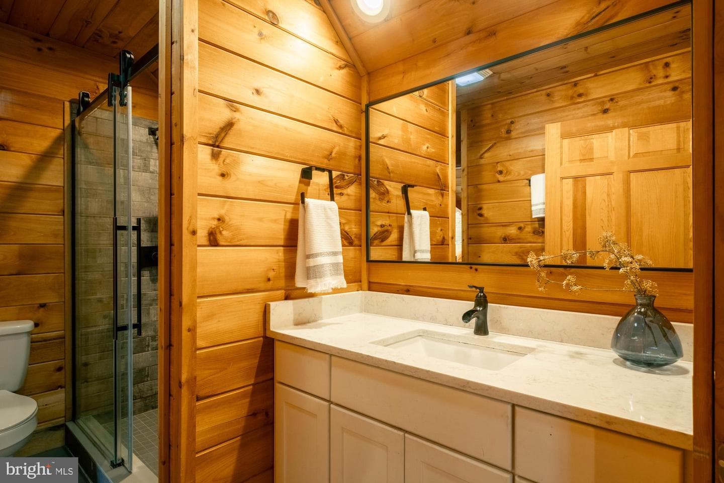 425 Hines Drive photo 47