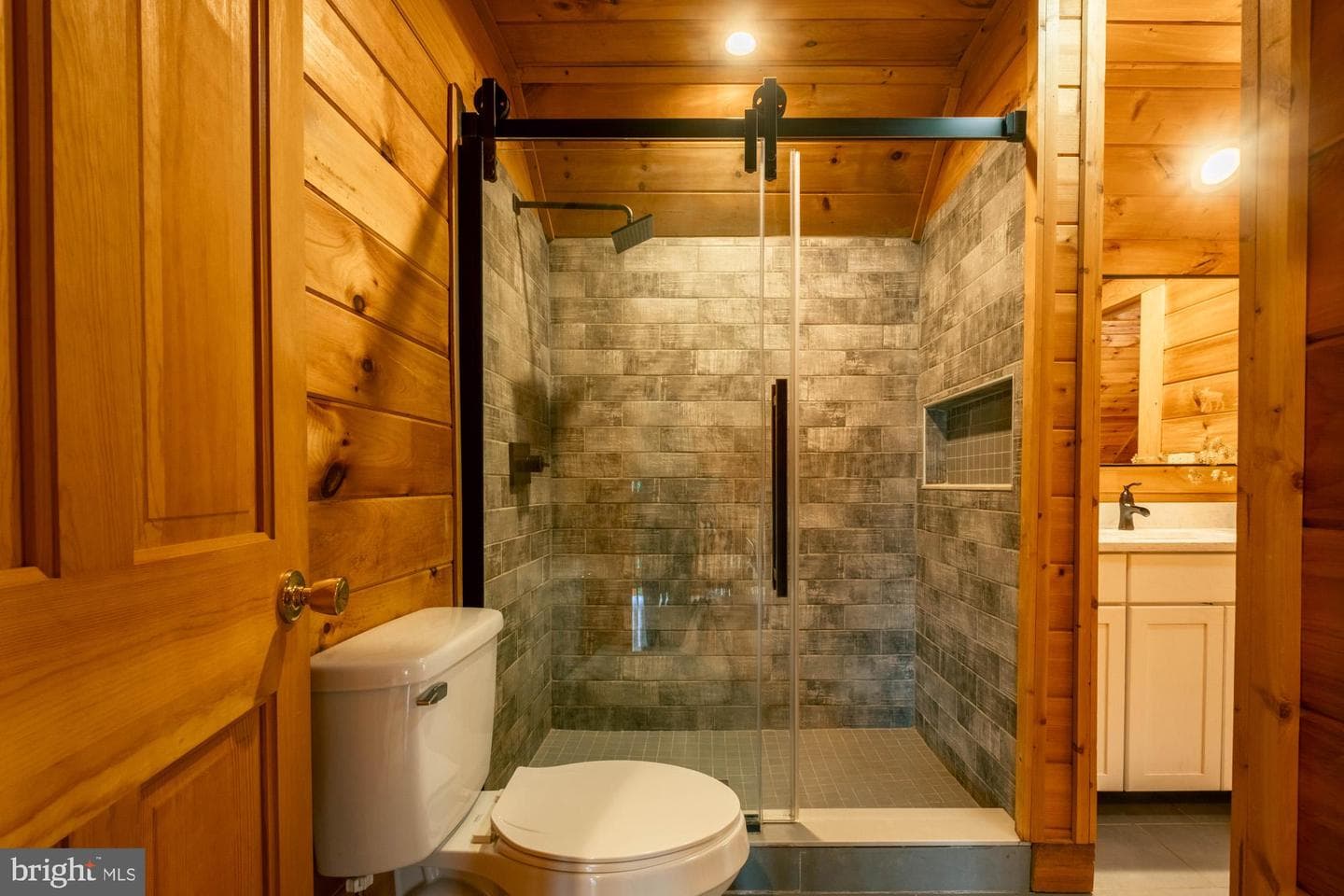 425 Hines Drive photo 48