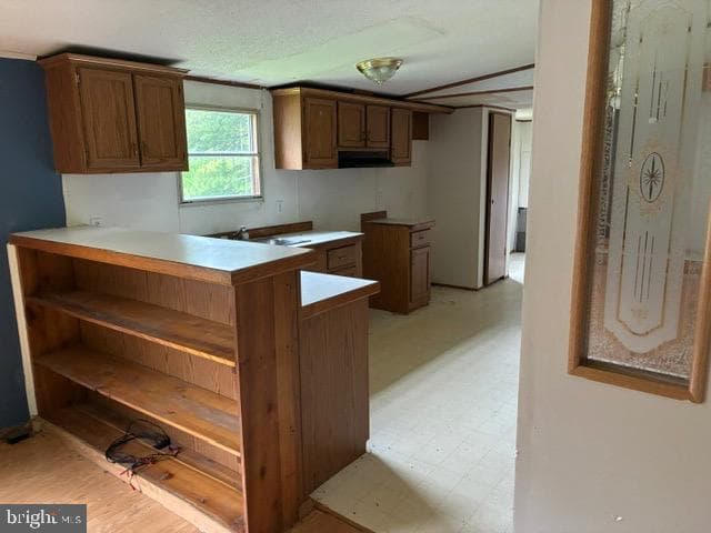 3037 White Rock Road photo 4
