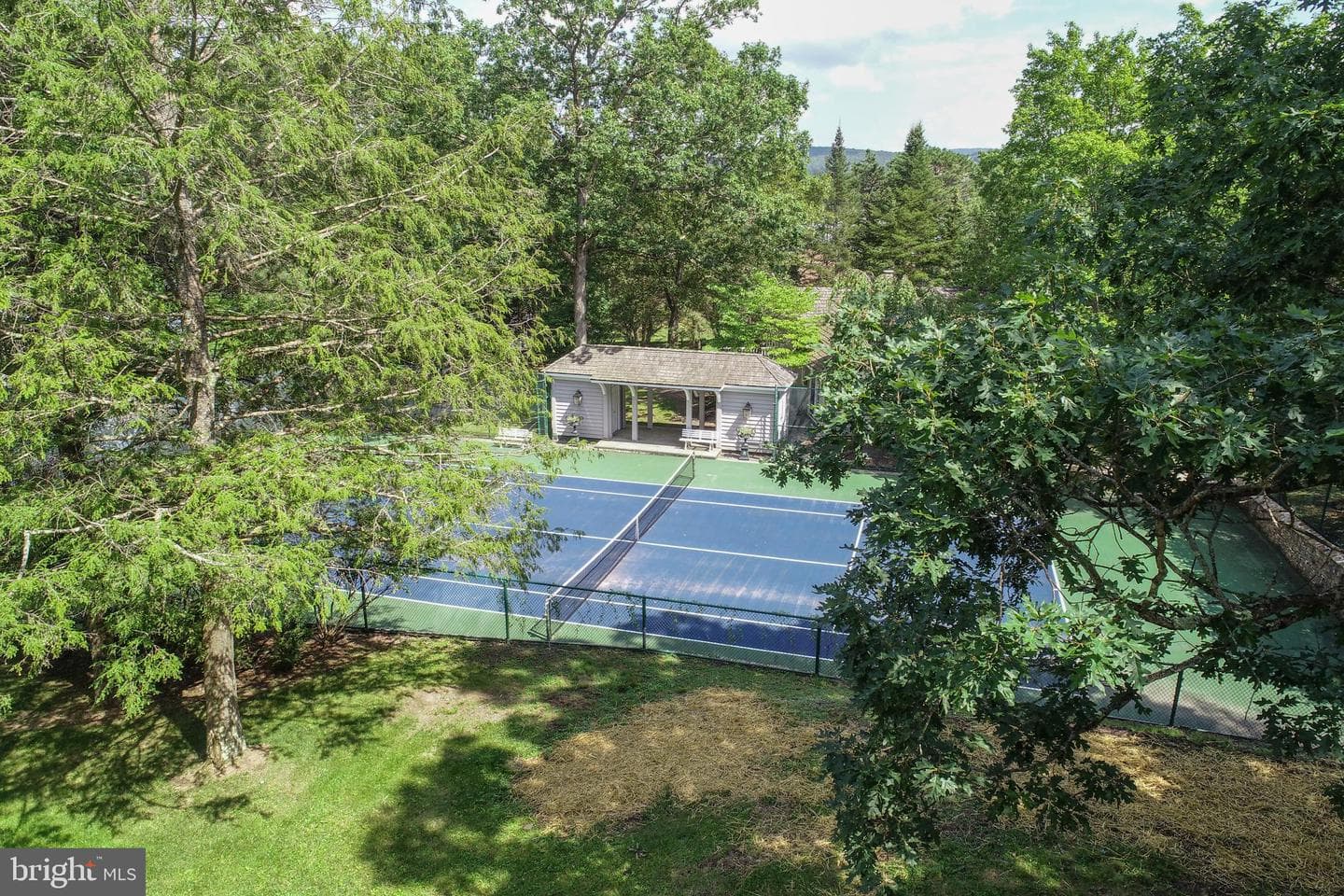 209 Black Angus Drive photo 16