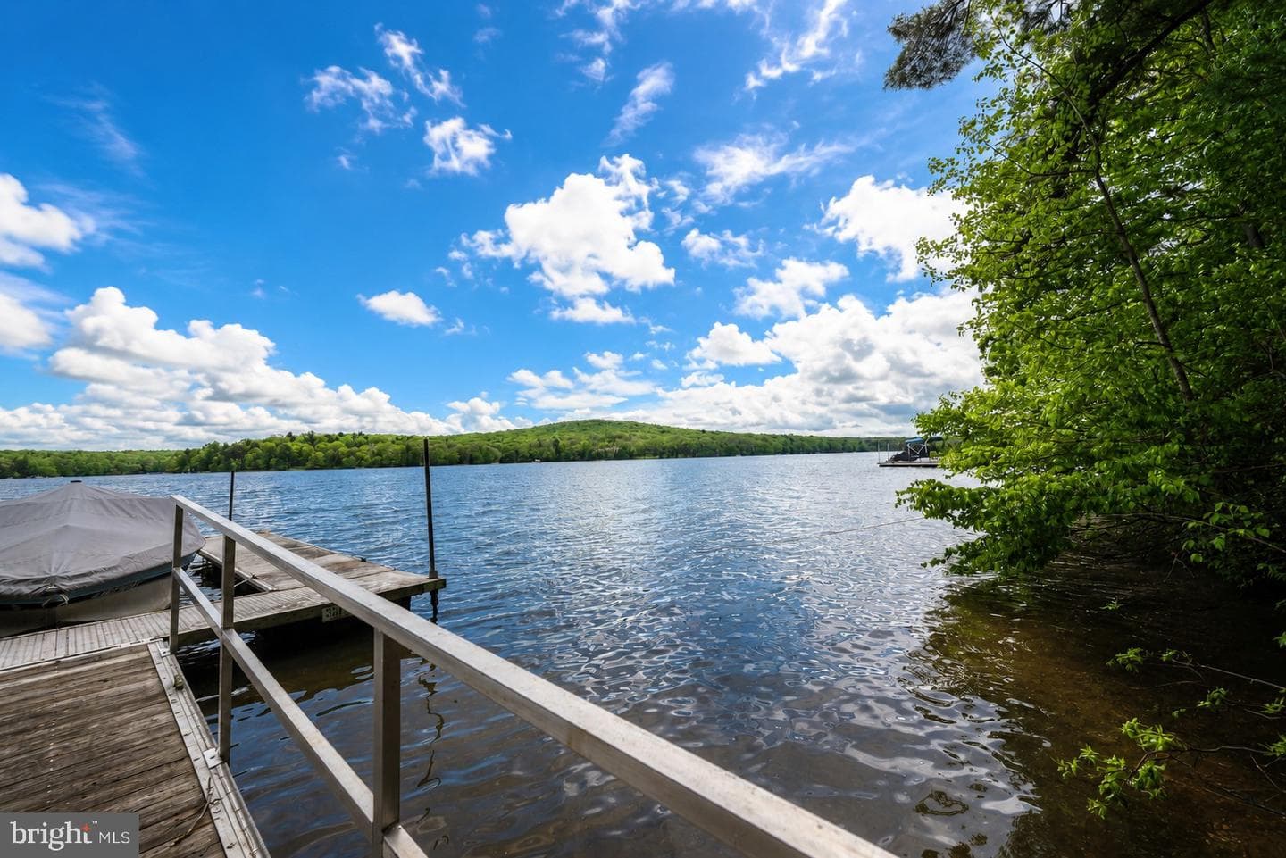 2311 Boy Scout Road photo 69
