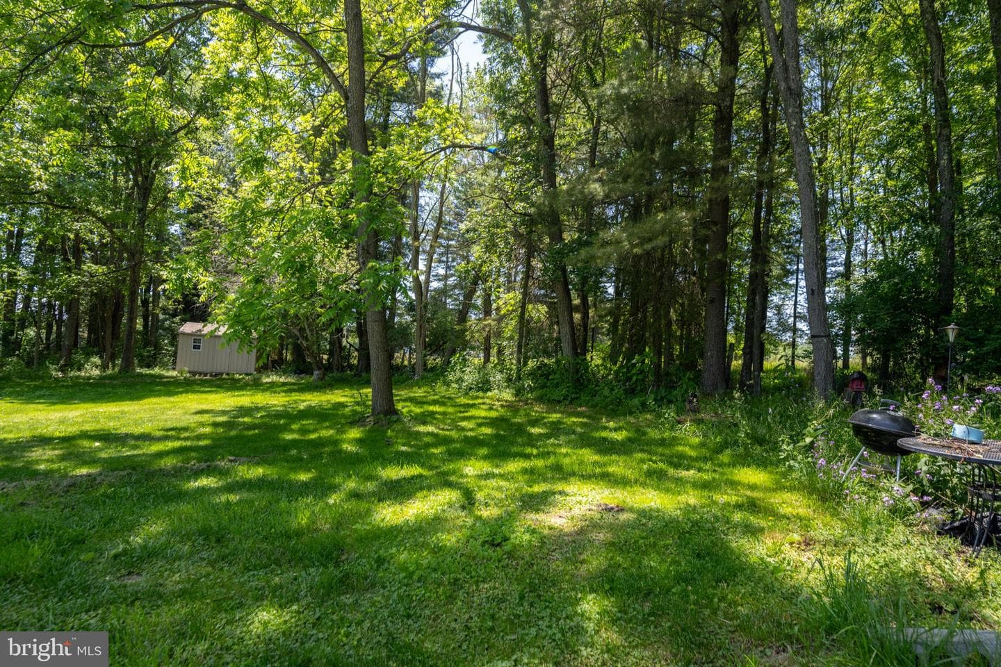 797 Noah Frazee Road photo 3