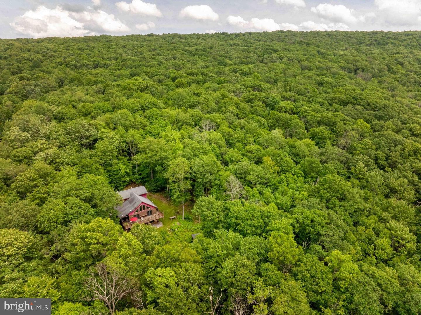995 Betts Lane photo 43