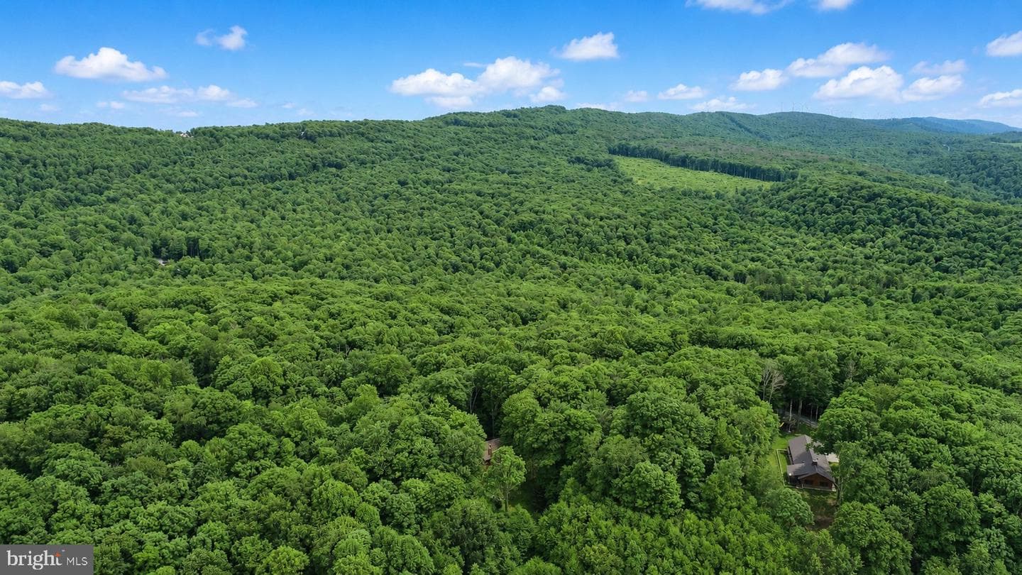 254 Little Mountain Road photo 51