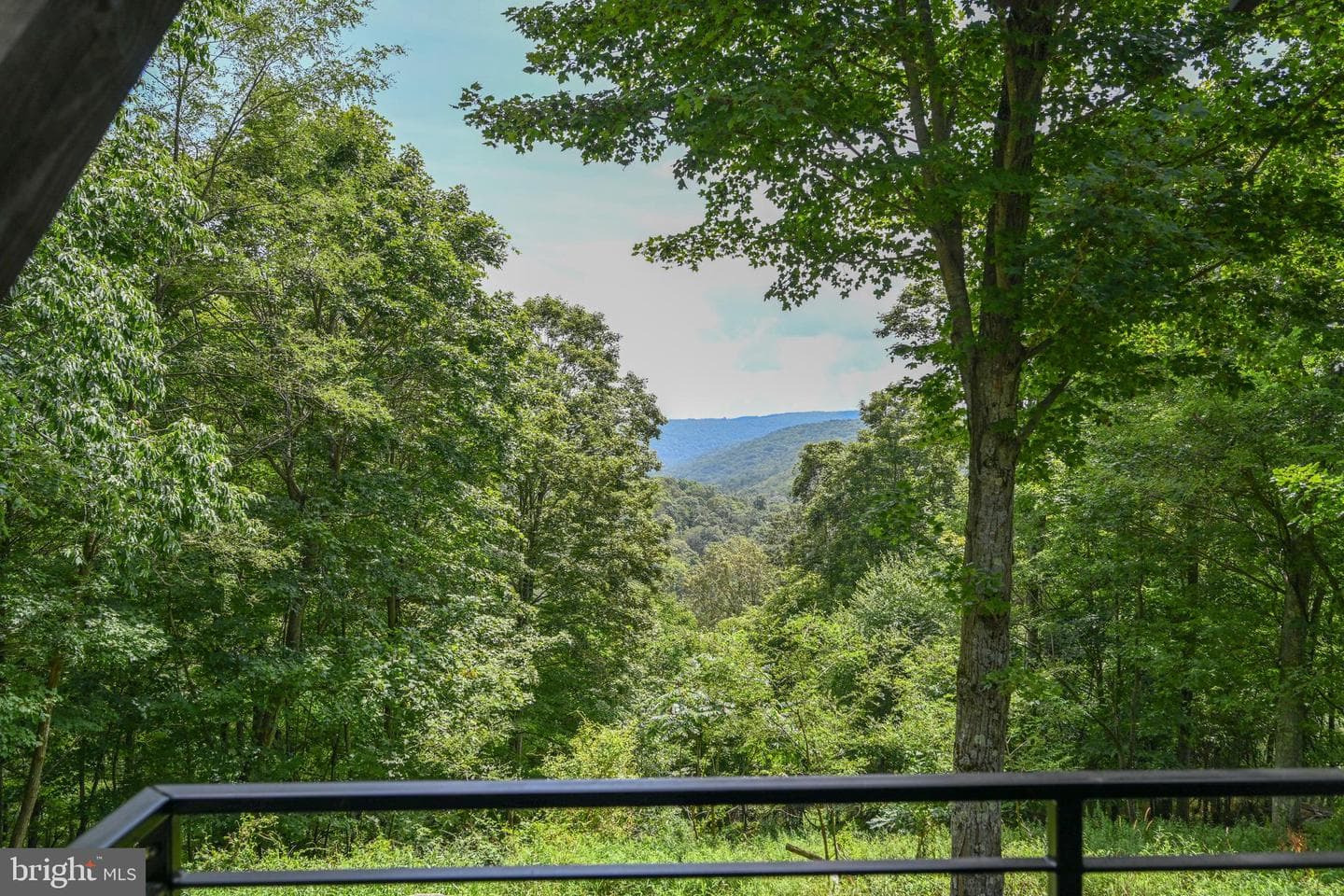 415 Nazelrod Road photo 28