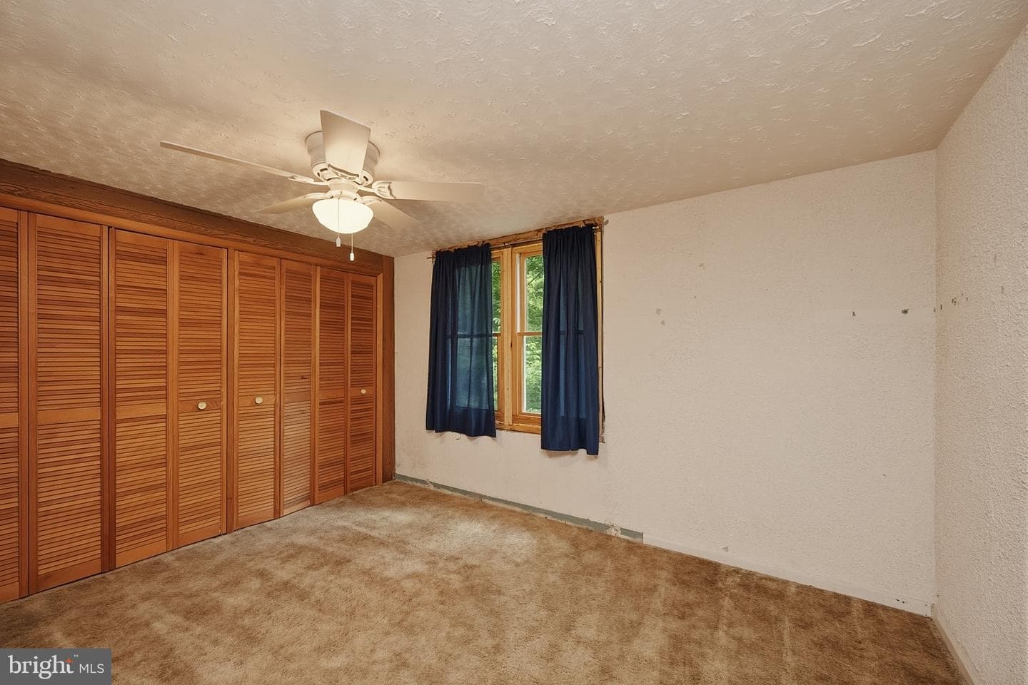 10805 Savage River Road photo 19
