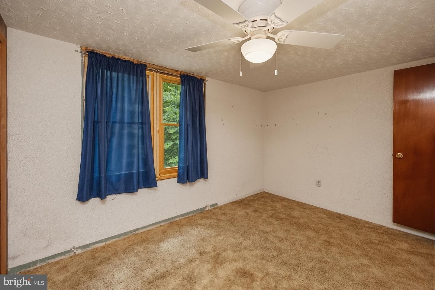 10805 Savage River Road photo 21