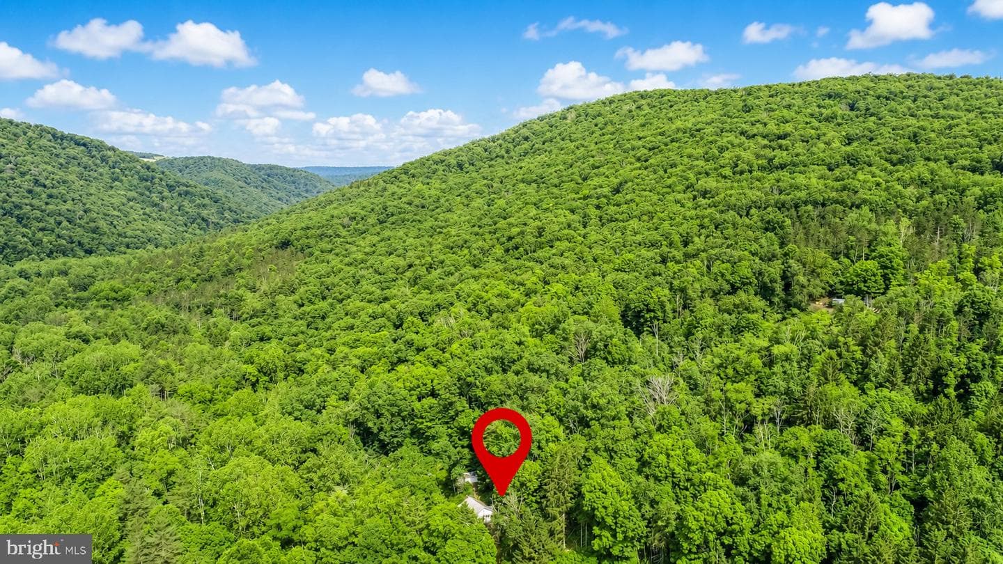 10805 Savage River Road photo 34