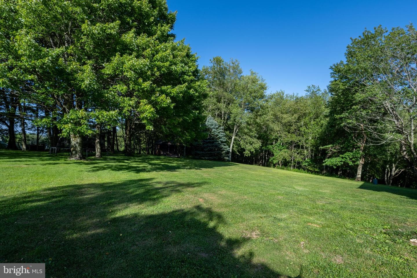 17240 Garrett Highway photo 102
