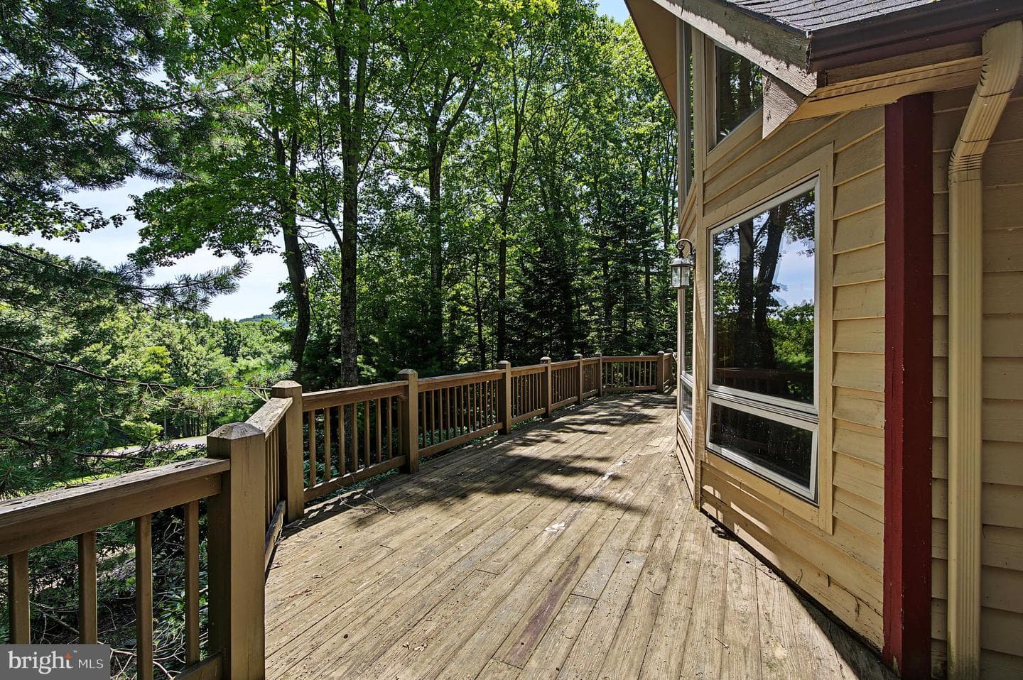 15 Primo Vista Drive photo 45