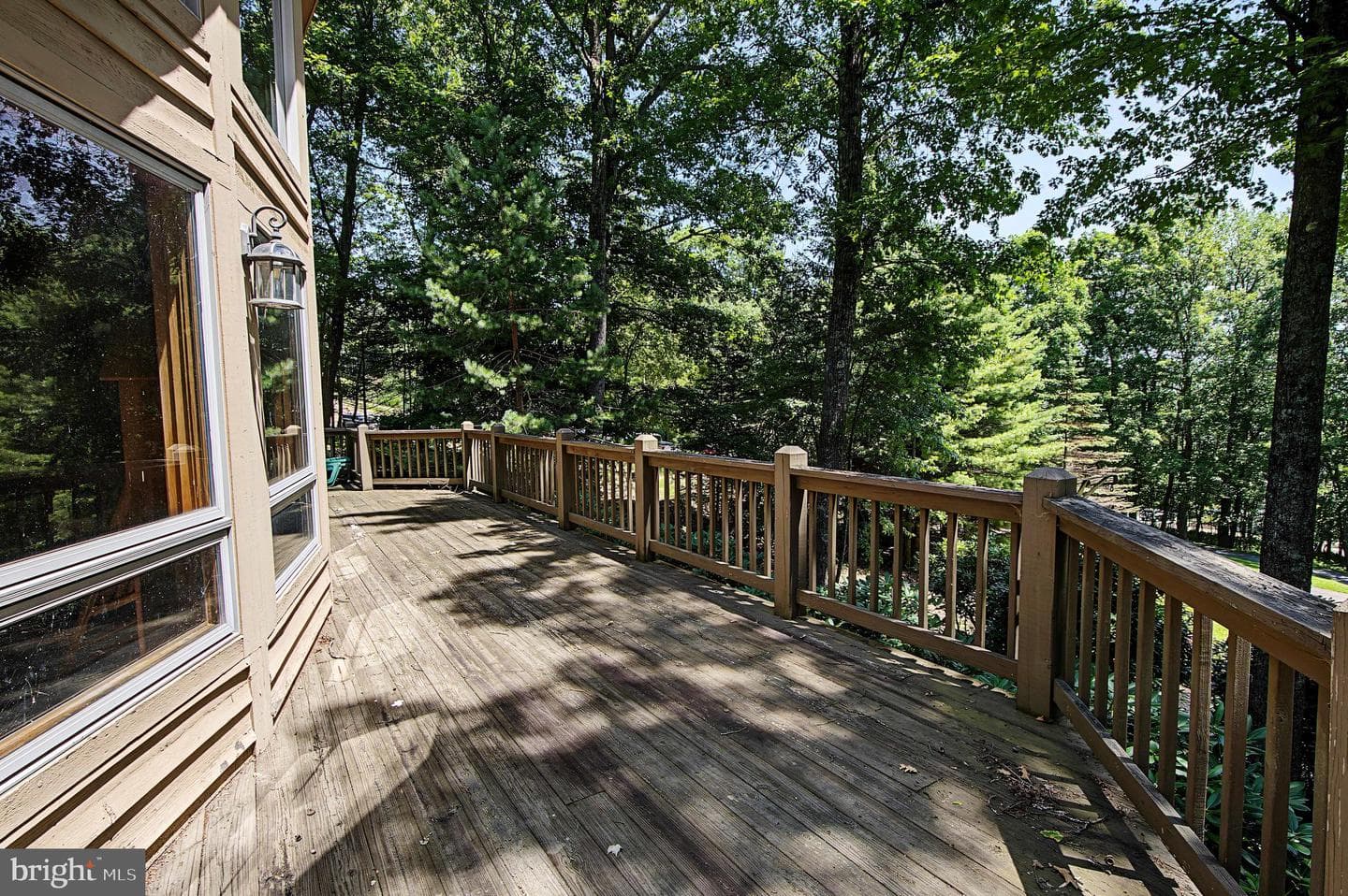 15 Primo Vista Drive photo 46