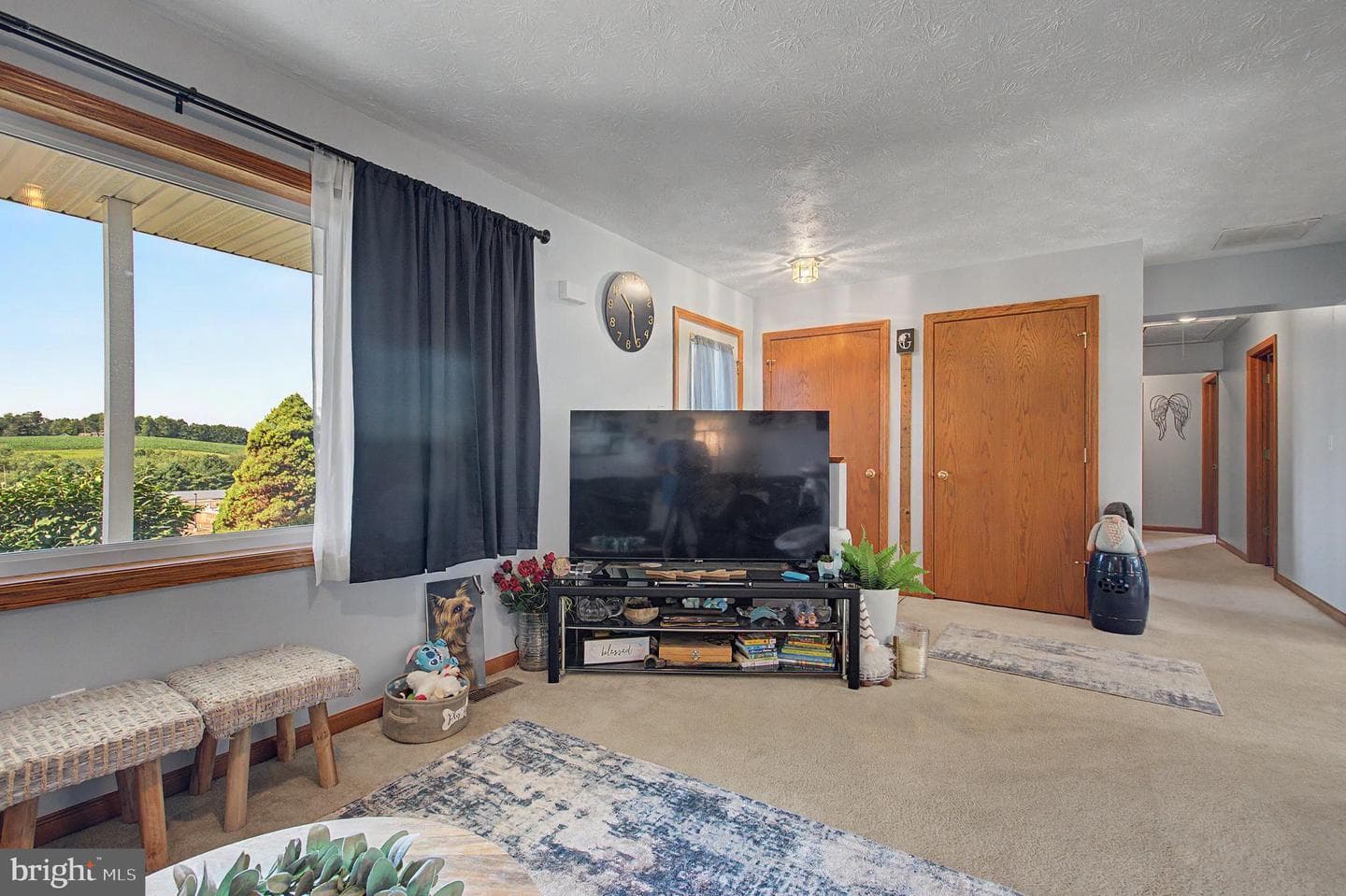 610 Harvey Winters Drive photo 3