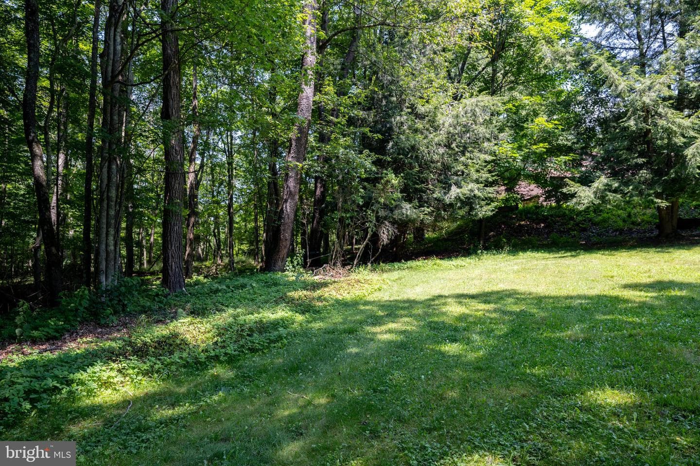 520 Palmer Lane photo 11
