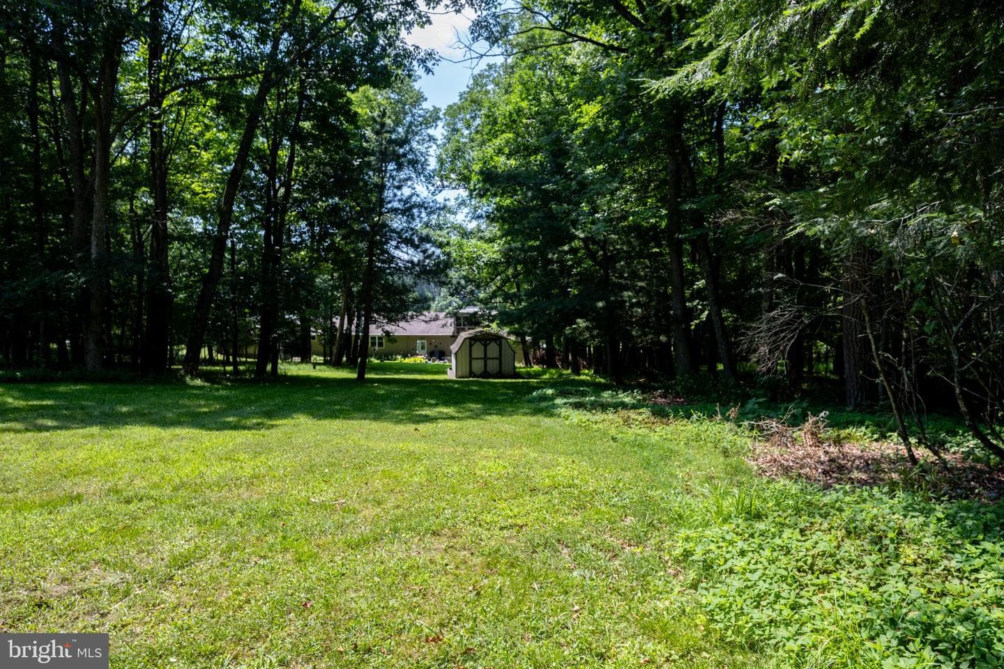 520 Palmer Lane photo 13