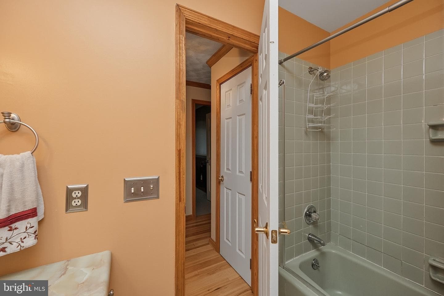 520 Palmer Lane photo 35