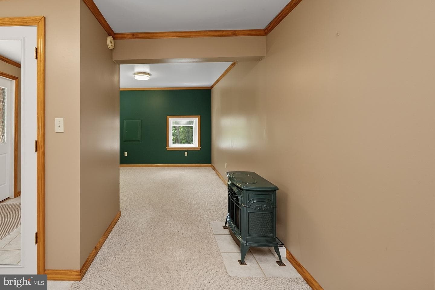 520 Palmer Lane photo 53
