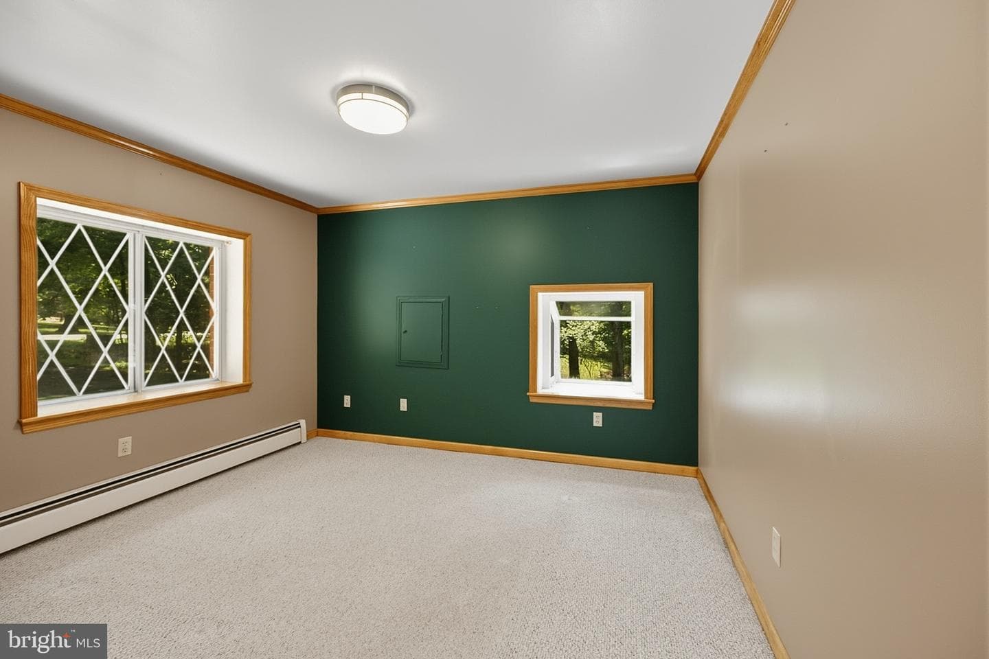 520 Palmer Lane photo 54