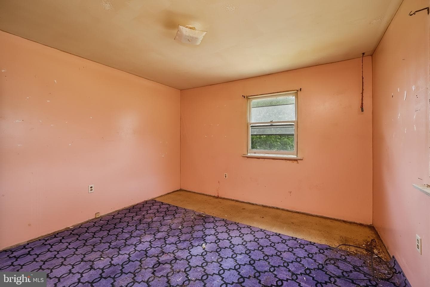 828 Lee Road photo 21