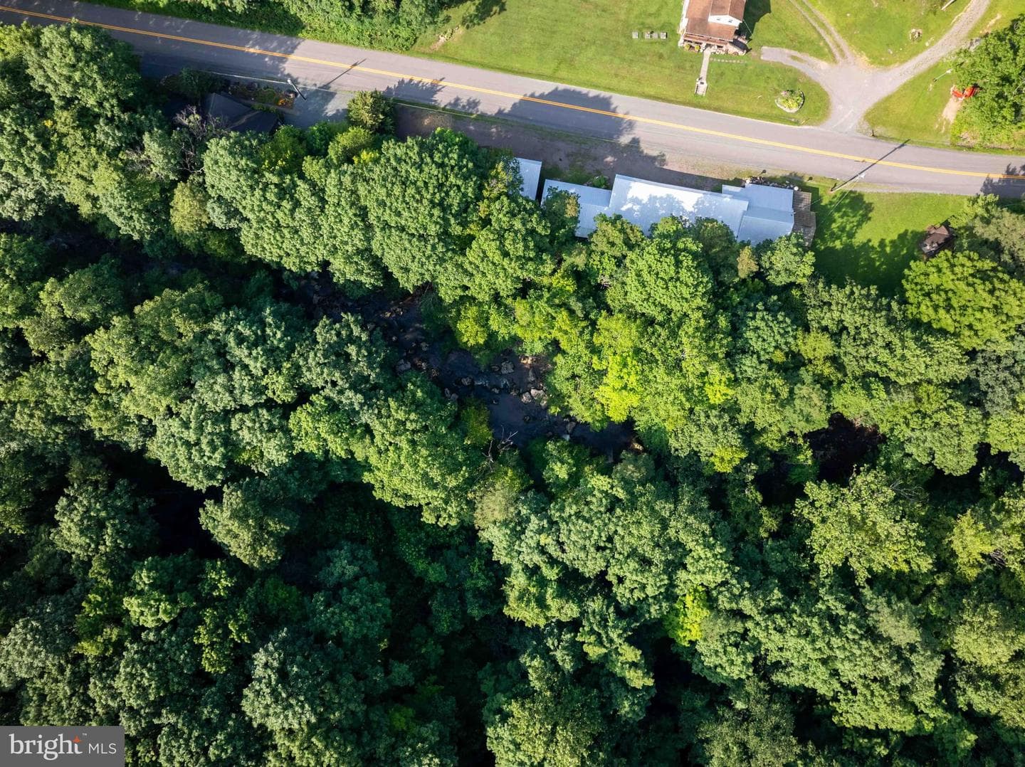 516 Bear Creek Road photo 60