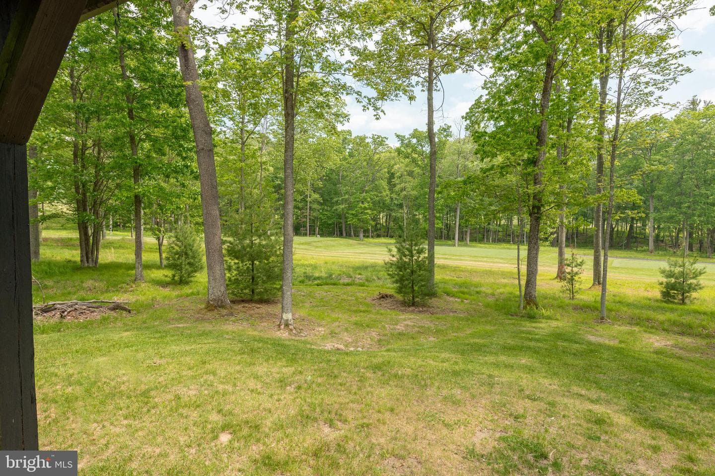 109 Poland Heights Lane photo 44