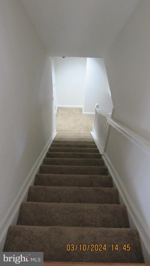 1016 Irwins Choice photo 42