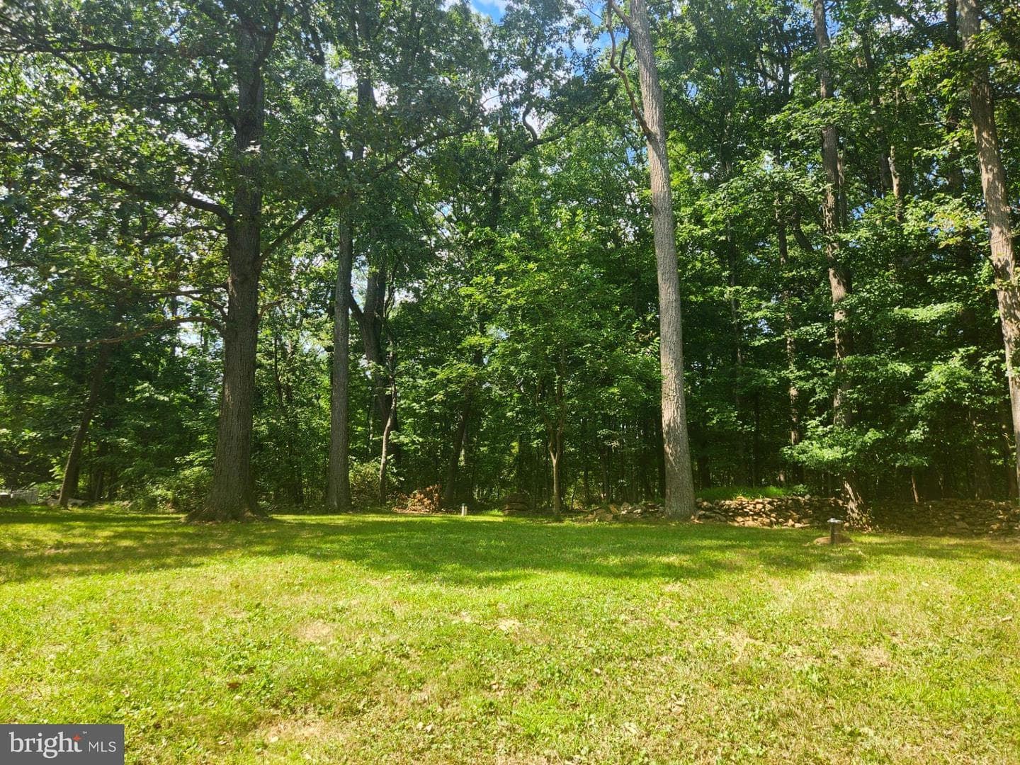 2728 Meadow Tree Drive photo 2
