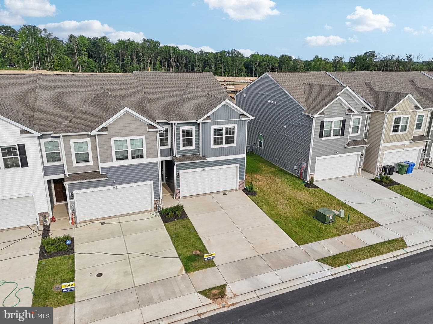 687 Beadlilly Way photo 47