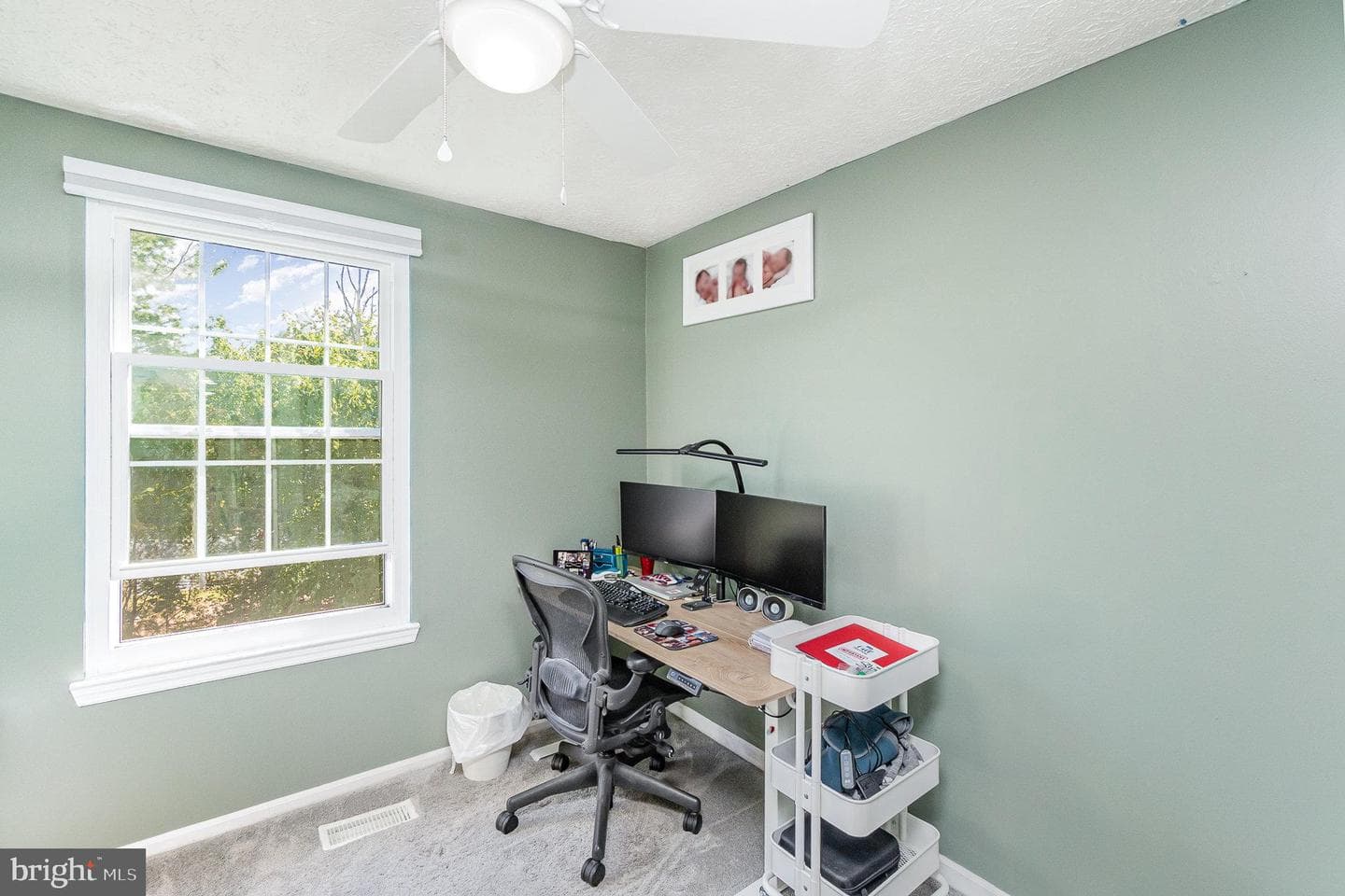 203 Ellerslie Court photo 20
