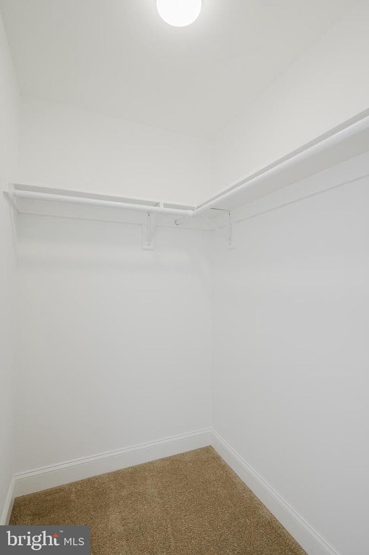 4743 Witchhazel Way photo 51
