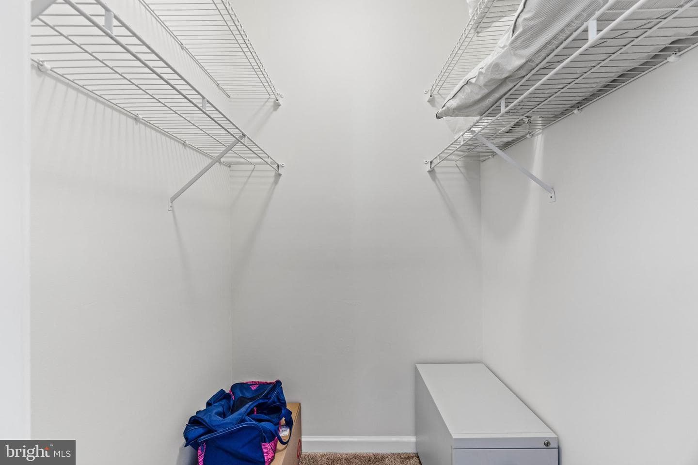 1313 Cranesbill Court #202 photo 29