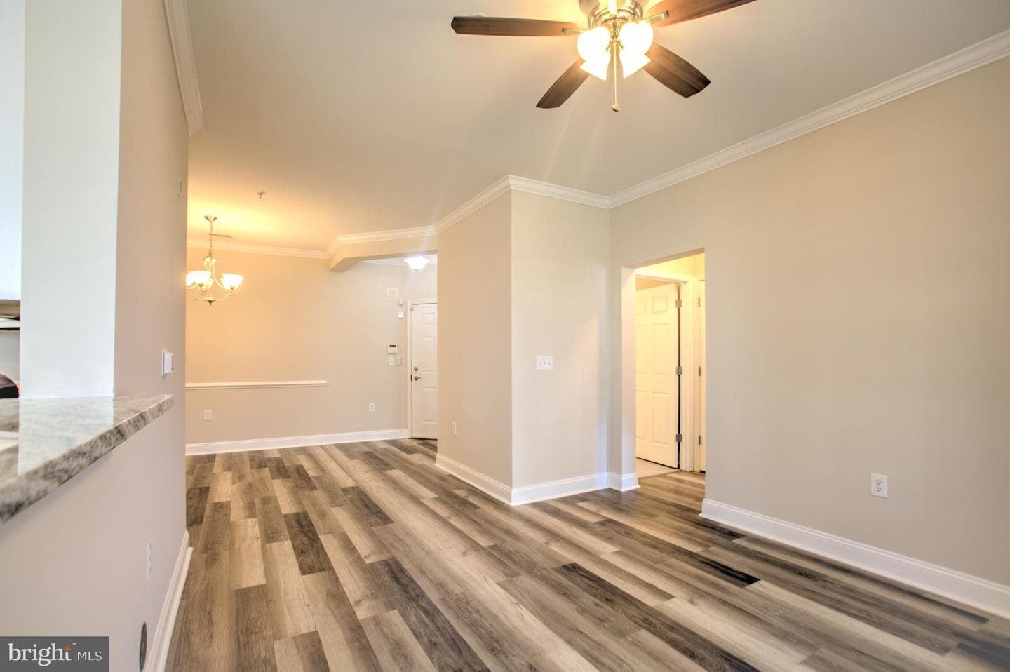 1818 Selvin Drive #101 photo 19