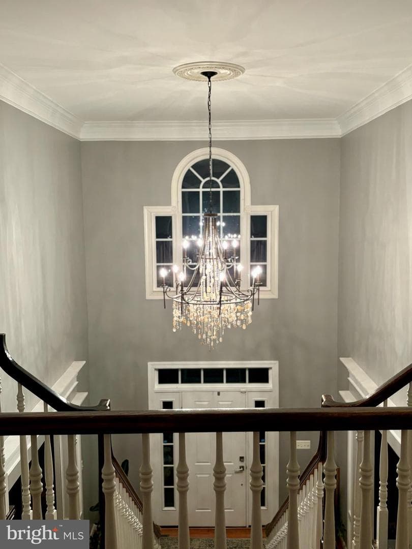 110 Bower Lane photo 42