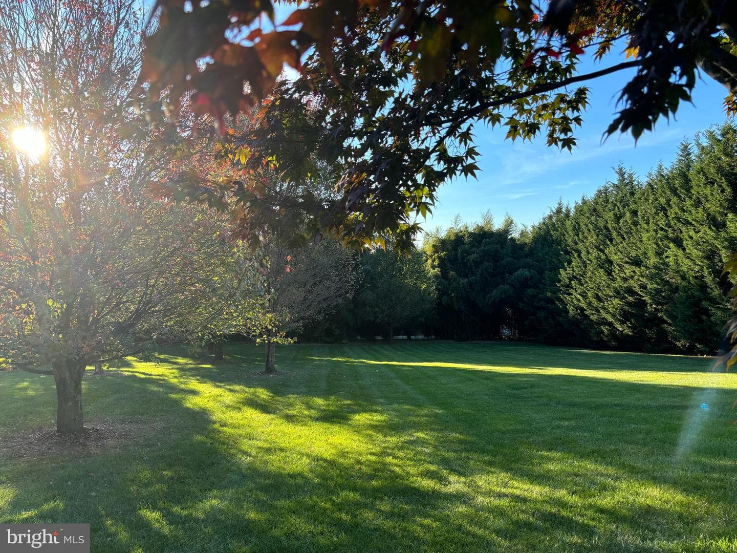 110 Bower Lane photo 63