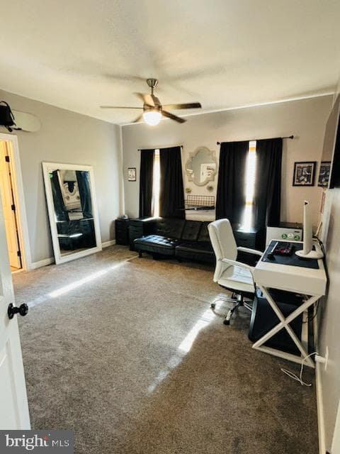 110 Bower Lane photo 72