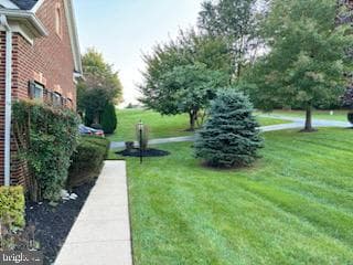 110 Bower Lane photo 9
