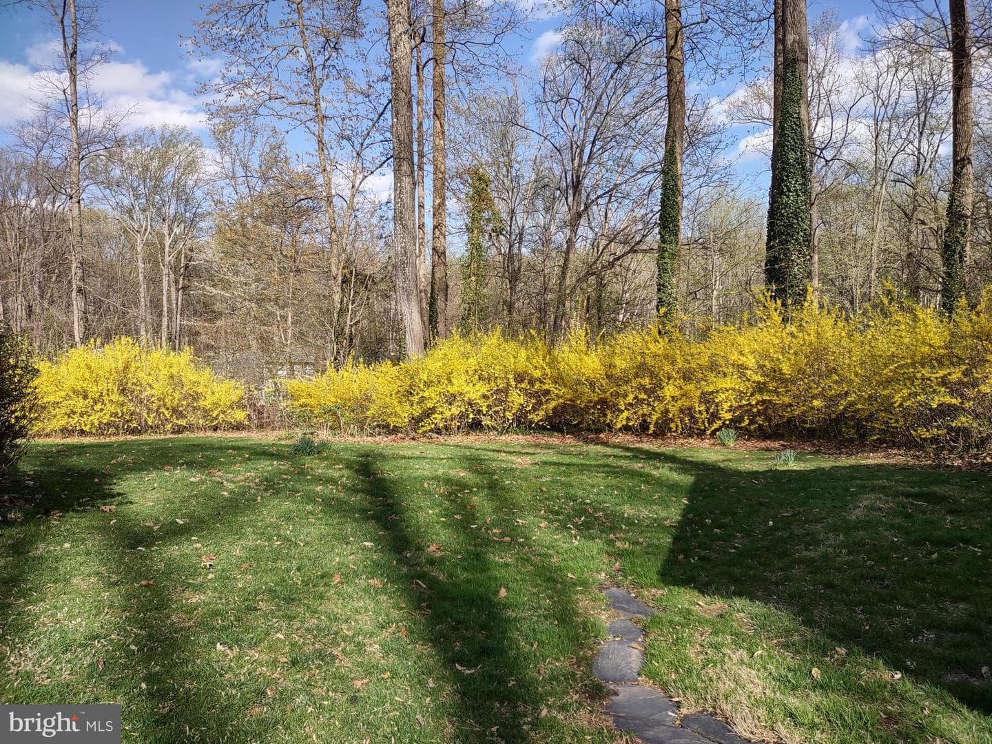 3107 Whitefield Road photo 11