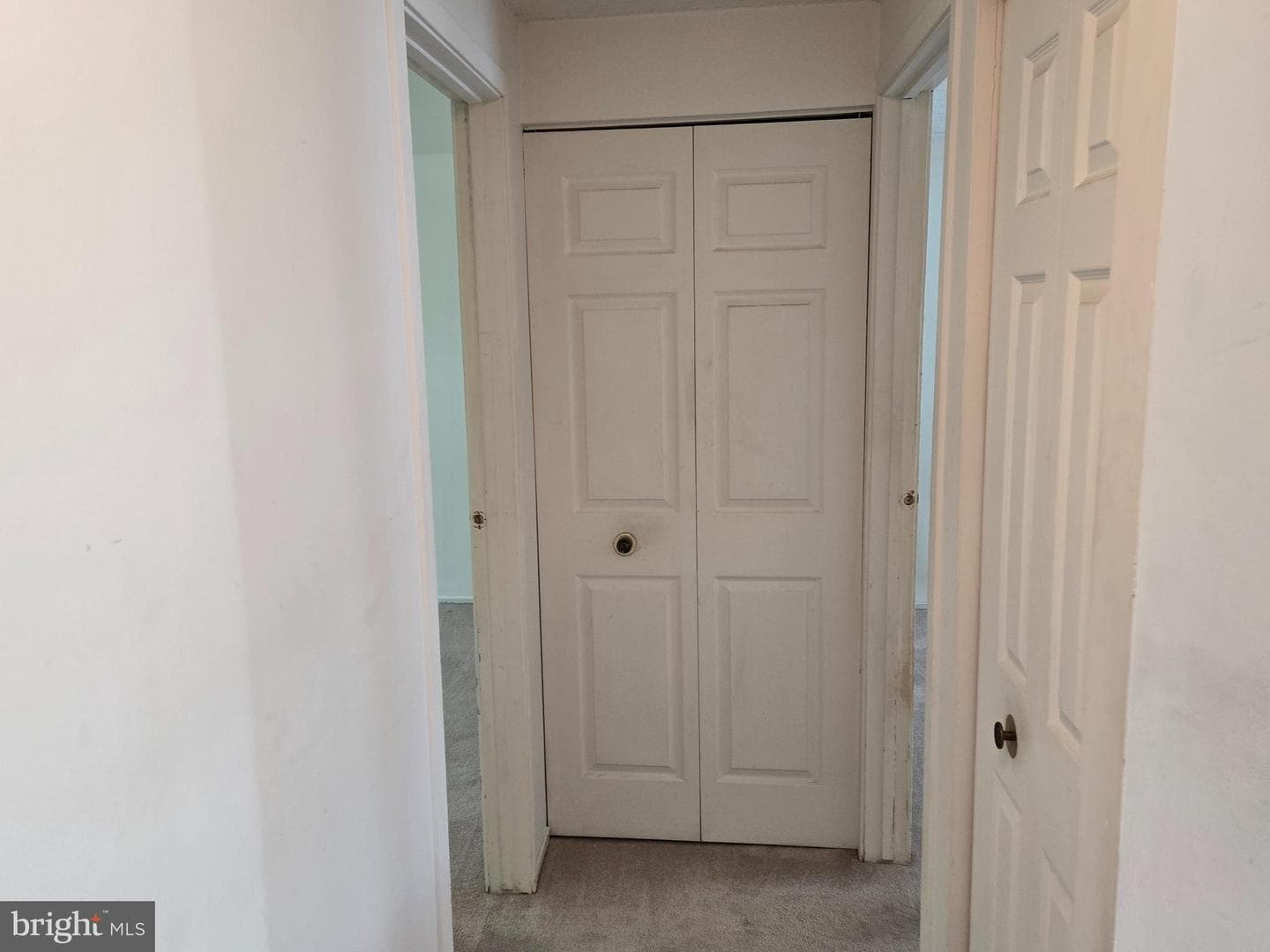2805 White Rose Court photo 23