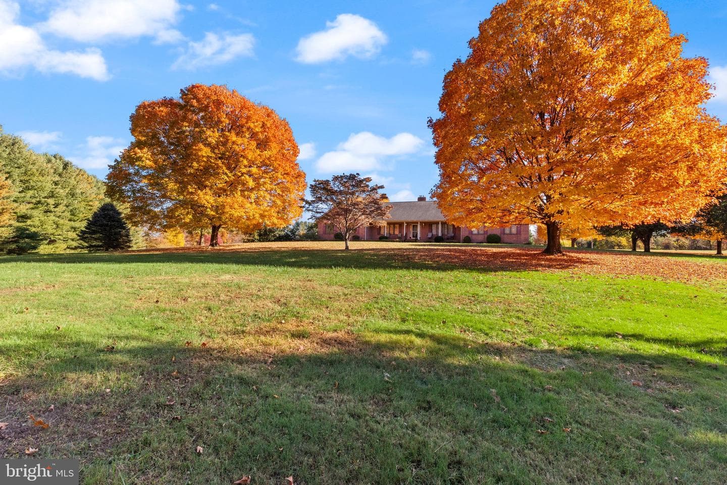 1299 Macton Road photo 3