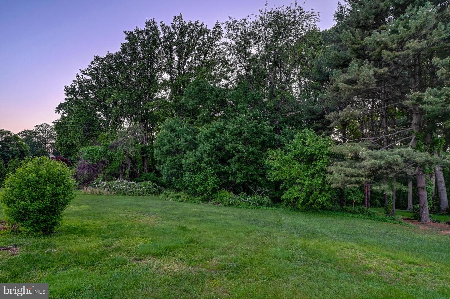 1516 Lady Anne Court photo 41