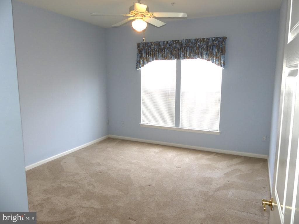 117 Nichols Street #5e photo 17