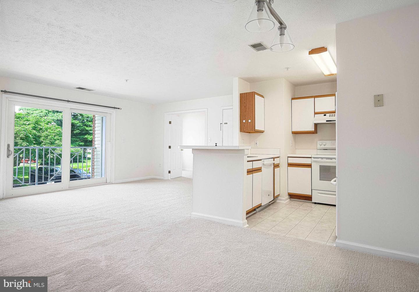1208 Mist Wood Court #204 photo 7