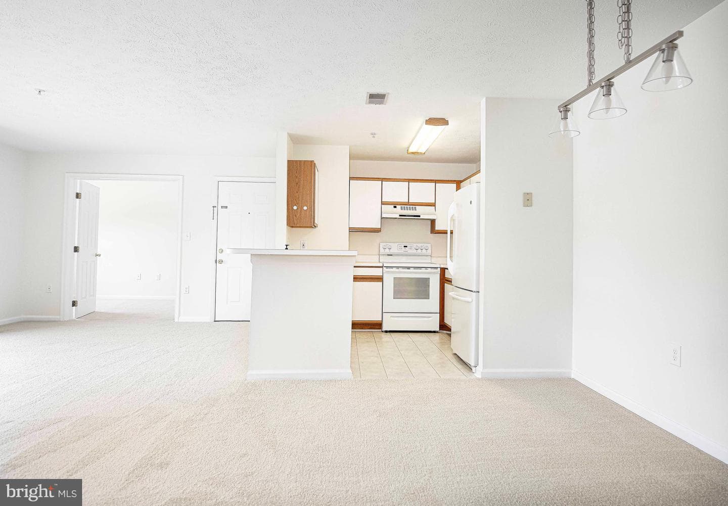 1208 Mist Wood Court #204 photo 8