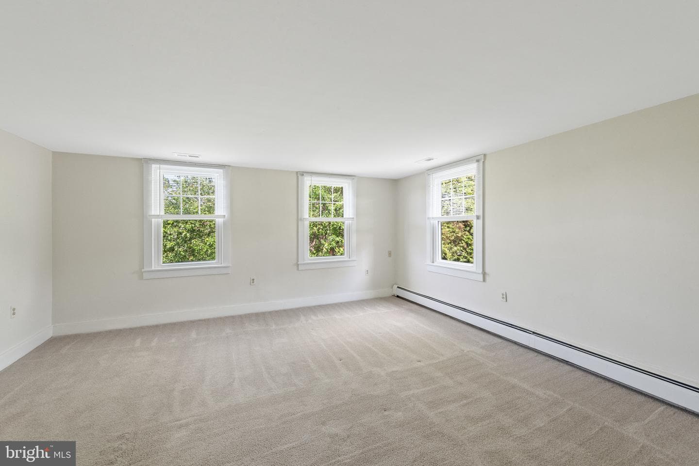 4302 St Clair Bridge photo 29