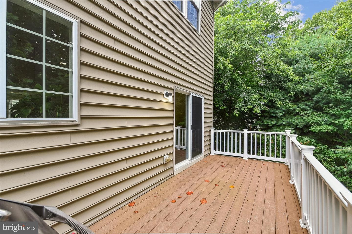 1614 Livingston Drive photo 19