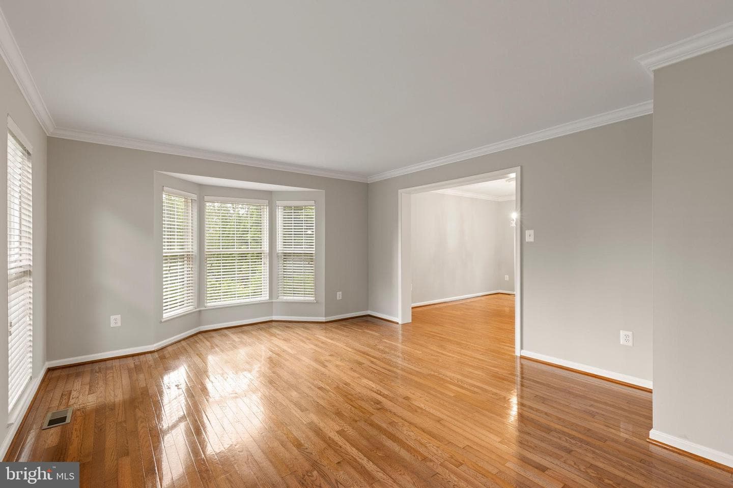 501 Chesley Court photo 19