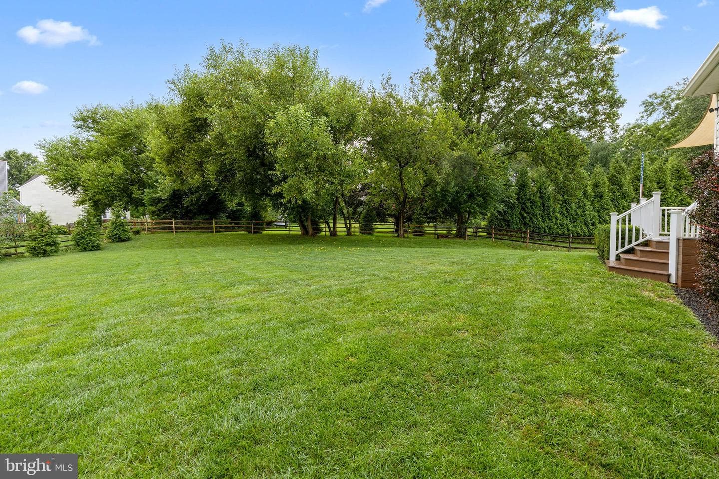 501 Chesley Court photo 56