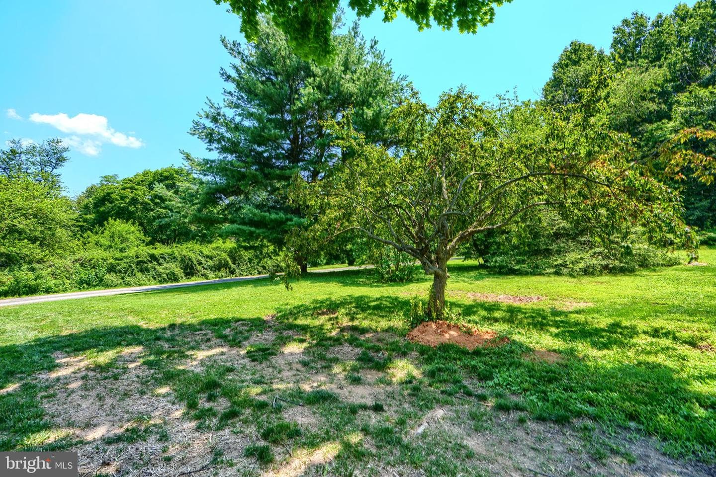 1701 Scott Road photo 79