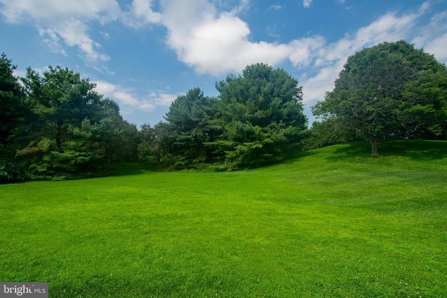 2037 Colgate Circle photo 6