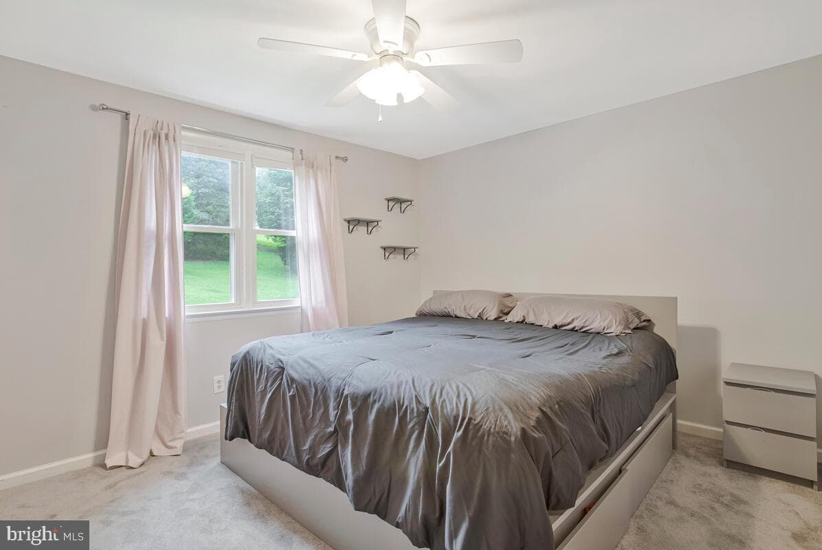 12 Overbrook Lane photo 20
